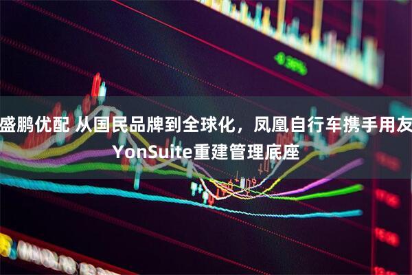 盛鹏优配 从国民品牌到全球化，凤凰自行车携手用友YonSuite重建管理底座