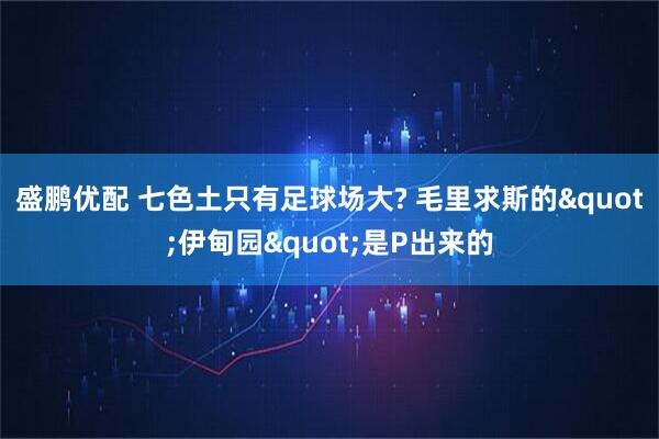 盛鹏优配 七色土只有足球场大? 毛里求斯的"伊甸园"是P出来的